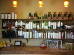 PAUL MITCHELL